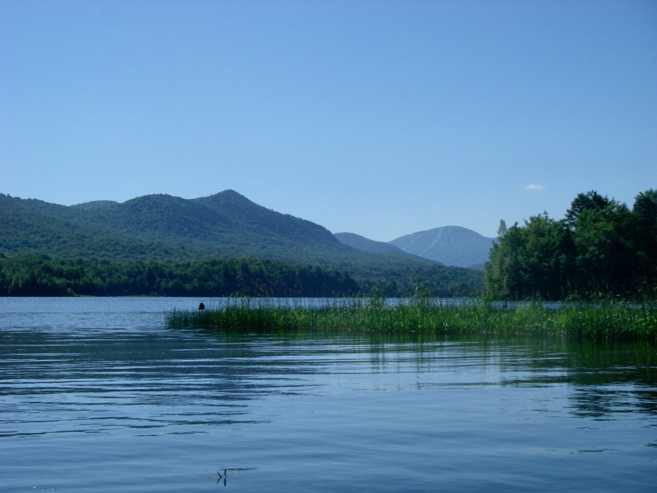 Smooth water and reeds at the Chittenden Reservoir with Pico Peak in the distance.